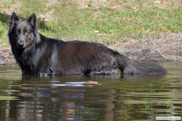 les fondateurs de la 1ere génération aux USA
