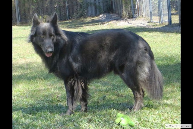 les fondateurs de la 1ere génération aux USA