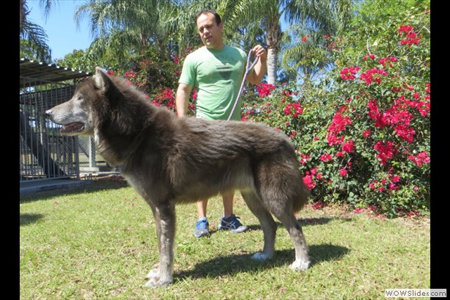 les fondateurs de la 1ere génération aux USA