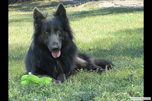 les fondateurs de la 1ere génération aux USA